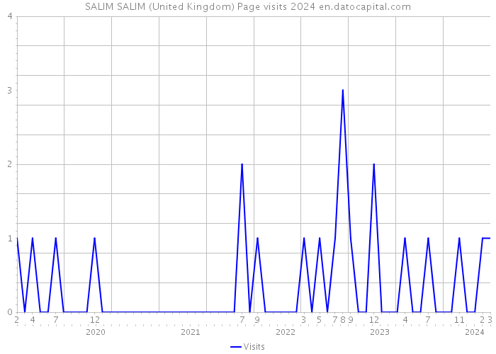 SALIM SALIM (United Kingdom) Page visits 2024 