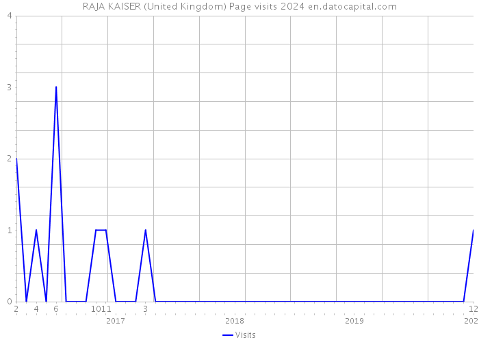 RAJA KAISER (United Kingdom) Page visits 2024 