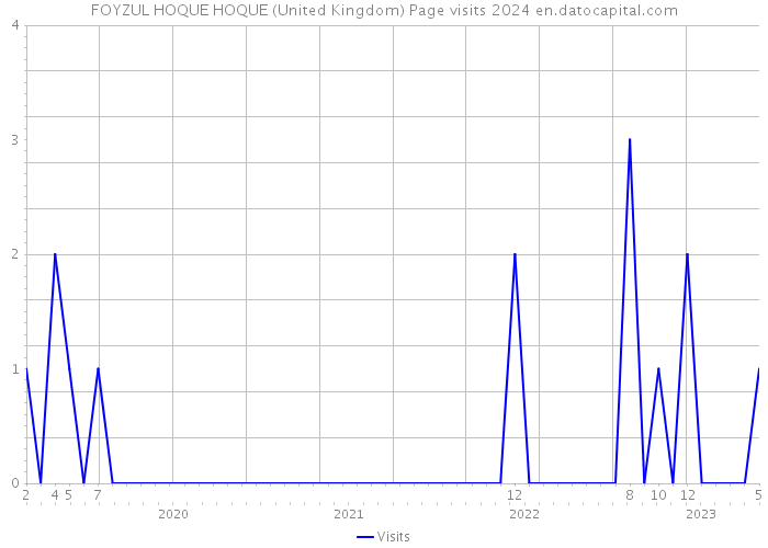 FOYZUL HOQUE HOQUE (United Kingdom) Page visits 2024 