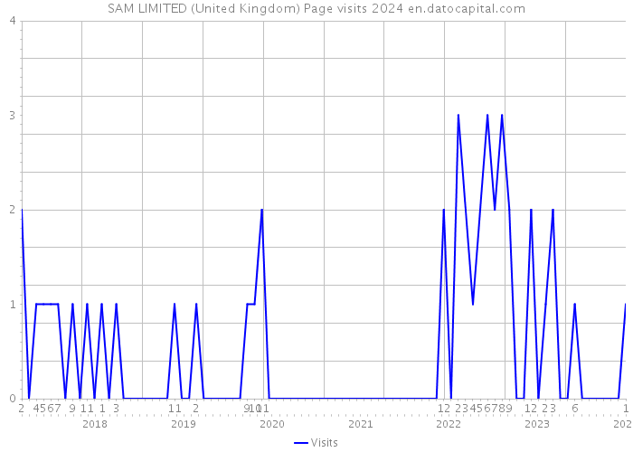 SAM LIMITED (United Kingdom) Page visits 2024 