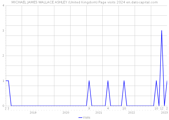 MICHAEL JAMES WALLACE ASHLEY (United Kingdom) Page visits 2024 