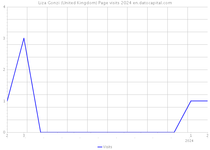 Liza Gonzi (United Kingdom) Page visits 2024 