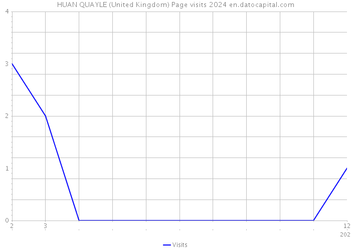 HUAN QUAYLE (United Kingdom) Page visits 2024 