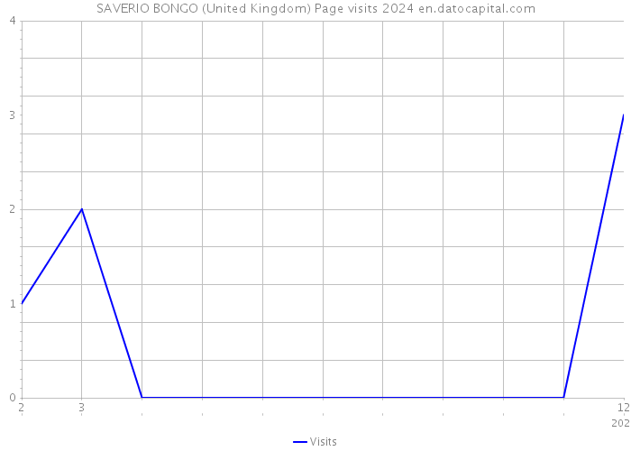 SAVERIO BONGO (United Kingdom) Page visits 2024 