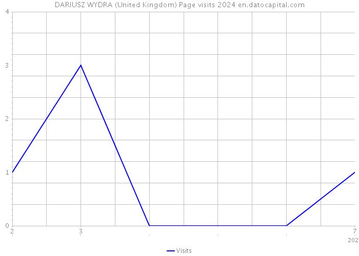 DARIUSZ WYDRA (United Kingdom) Page visits 2024 