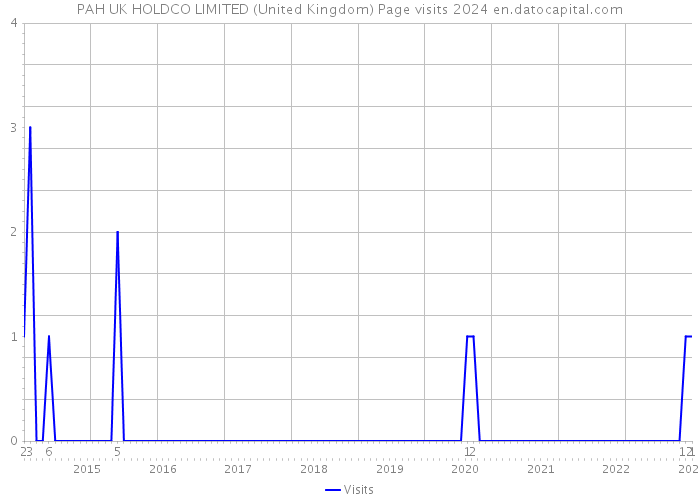 PAH UK HOLDCO LIMITED (United Kingdom) Page visits 2024 