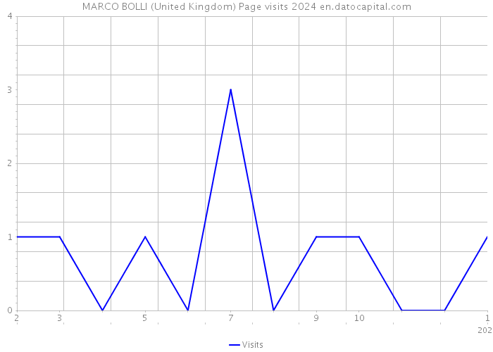 MARCO BOLLI (United Kingdom) Page visits 2024 