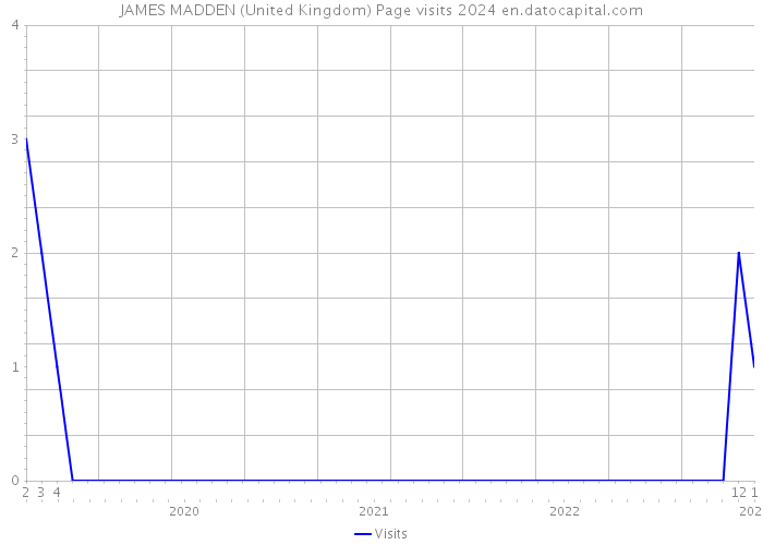 JAMES MADDEN (United Kingdom) Page visits 2024 