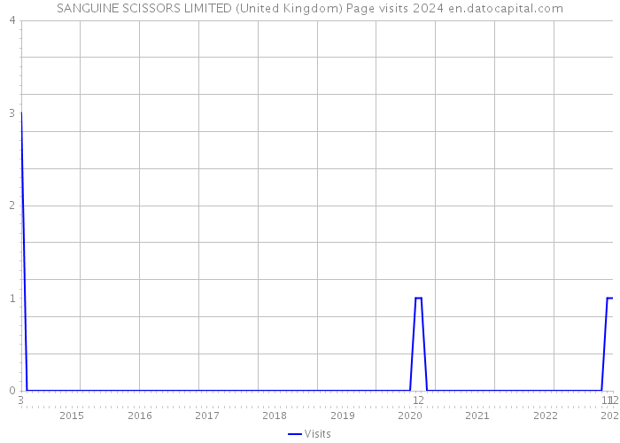 SANGUINE SCISSORS LIMITED (United Kingdom) Page visits 2024 