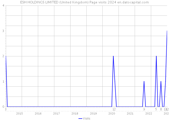 ESH HOLDINGS LIMITED (United Kingdom) Page visits 2024 