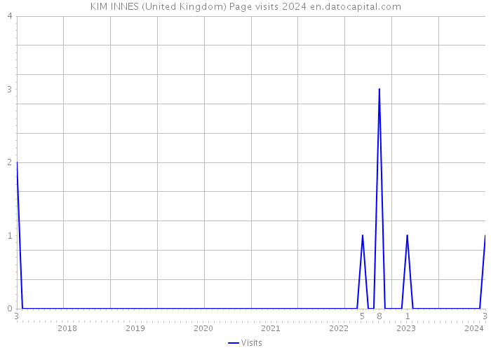 KIM INNES (United Kingdom) Page visits 2024 