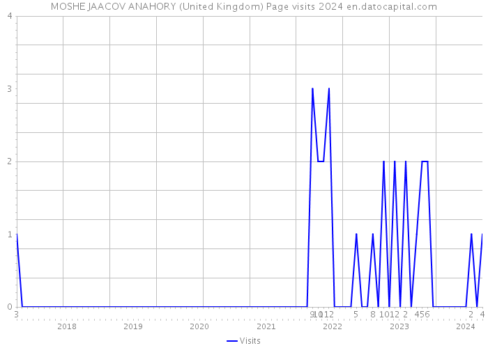 MOSHE JAACOV ANAHORY (United Kingdom) Page visits 2024 