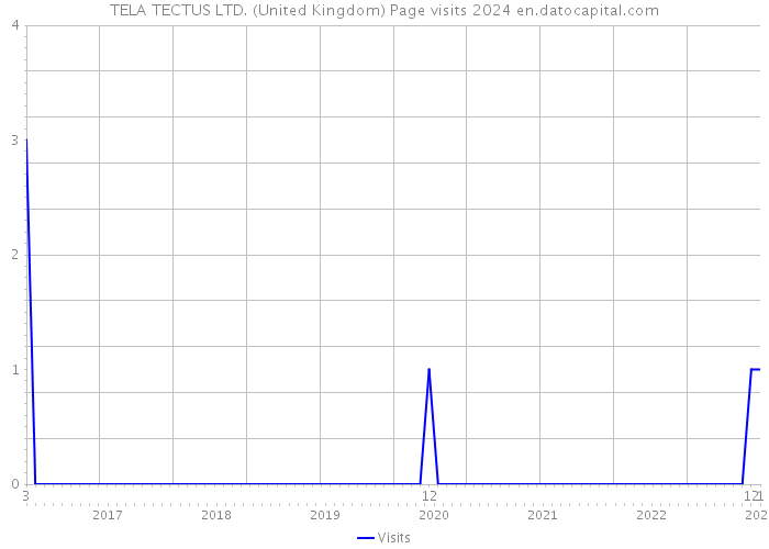 TELA TECTUS LTD. (United Kingdom) Page visits 2024 