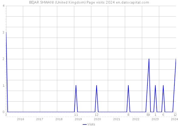 BEJAR SHWANI (United Kingdom) Page visits 2024 