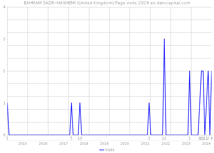 BAHRAM SADR-HASHEMI (United Kingdom) Page visits 2024 