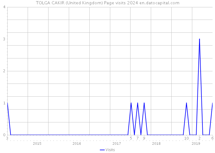 TOLGA CAKIR (United Kingdom) Page visits 2024 