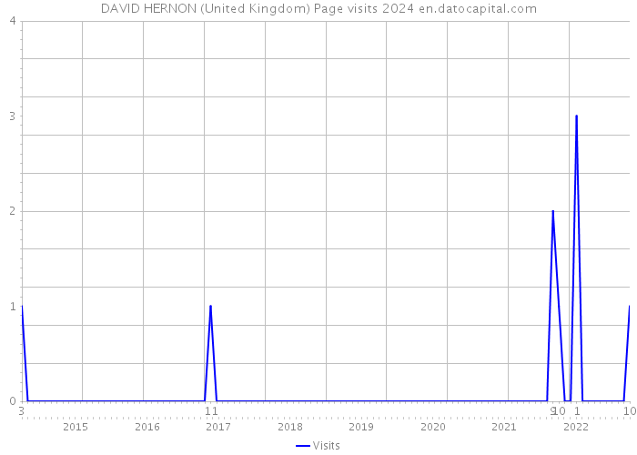 DAVID HERNON (United Kingdom) Page visits 2024 