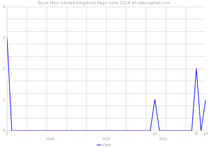 Erjon Meci (United Kingdom) Page visits 2024 