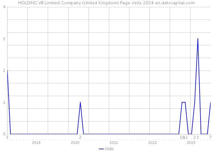 HOLDING VB Limited Company (United Kingdom) Page visits 2024 