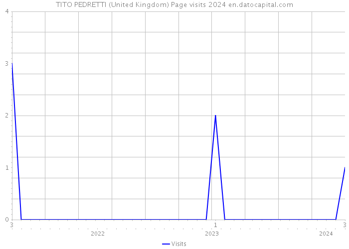 TITO PEDRETTI (United Kingdom) Page visits 2024 