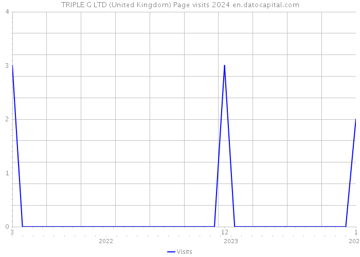 TRIPLE G LTD (United Kingdom) Page visits 2024 