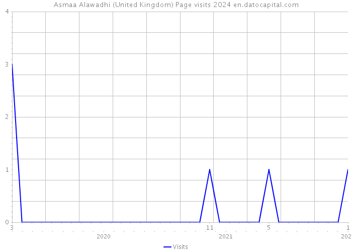 Asmaa Alawadhi (United Kingdom) Page visits 2024 