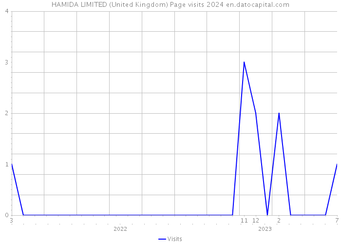 HAMIDA LIMITED (United Kingdom) Page visits 2024 