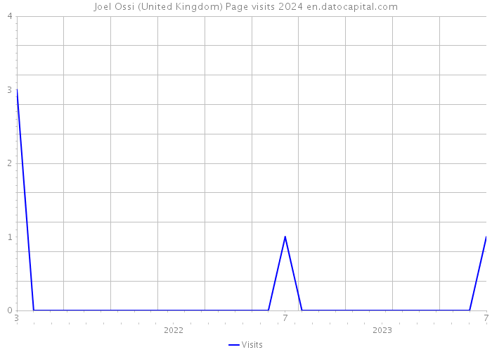 Joel Ossi (United Kingdom) Page visits 2024 