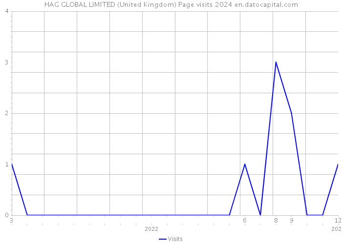HAG GLOBAL LIMITED (United Kingdom) Page visits 2024 