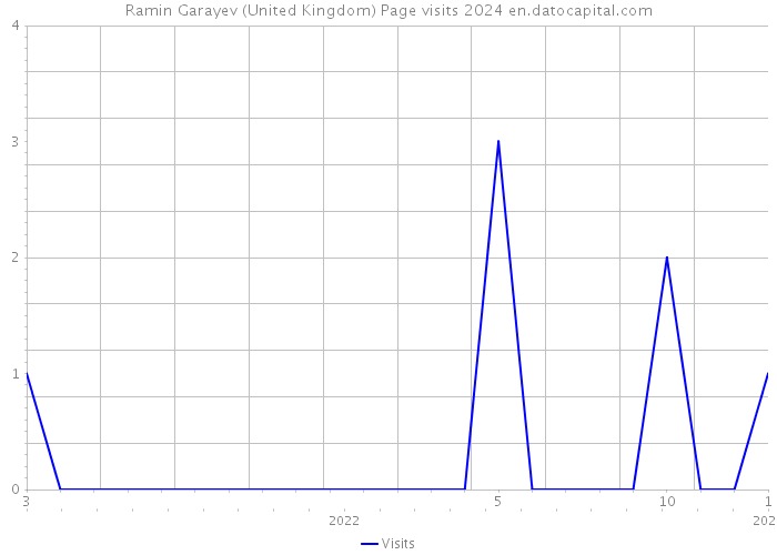 Ramin Garayev (United Kingdom) Page visits 2024 