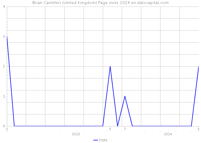 Brian Camilleri (United Kingdom) Page visits 2024 