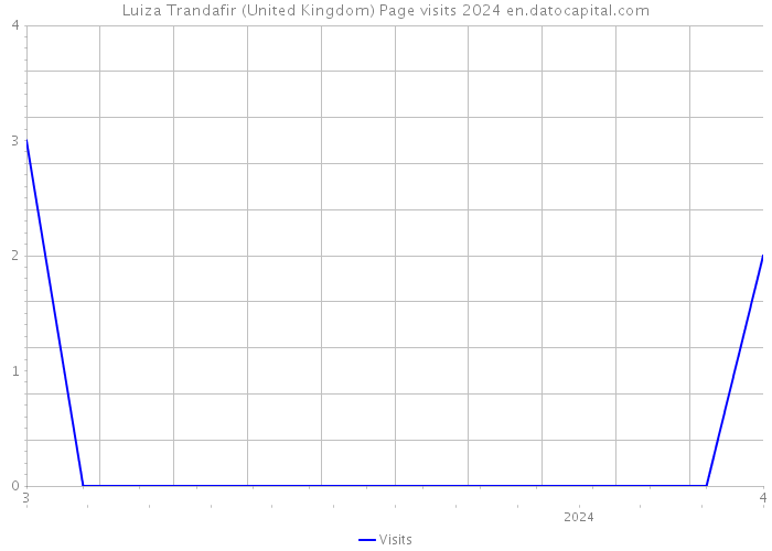 Luiza Trandafir (United Kingdom) Page visits 2024 