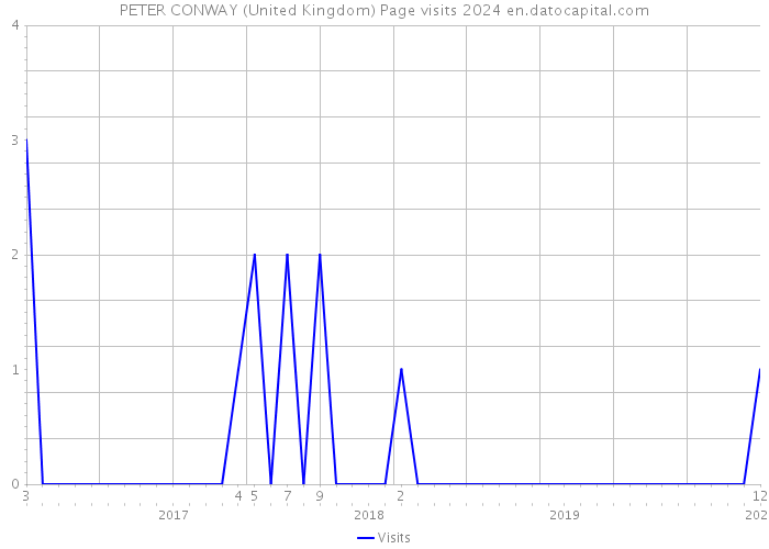 PETER CONWAY (United Kingdom) Page visits 2024 