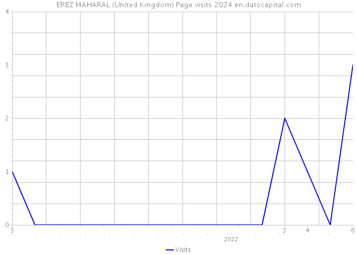 EREZ MAHARAL (United Kingdom) Page visits 2024 