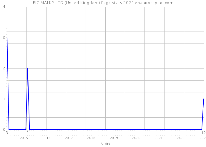 BIG MALKY LTD (United Kingdom) Page visits 2024 