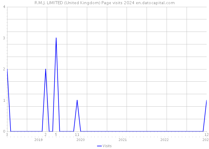 R.M.J. LIMITED (United Kingdom) Page visits 2024 