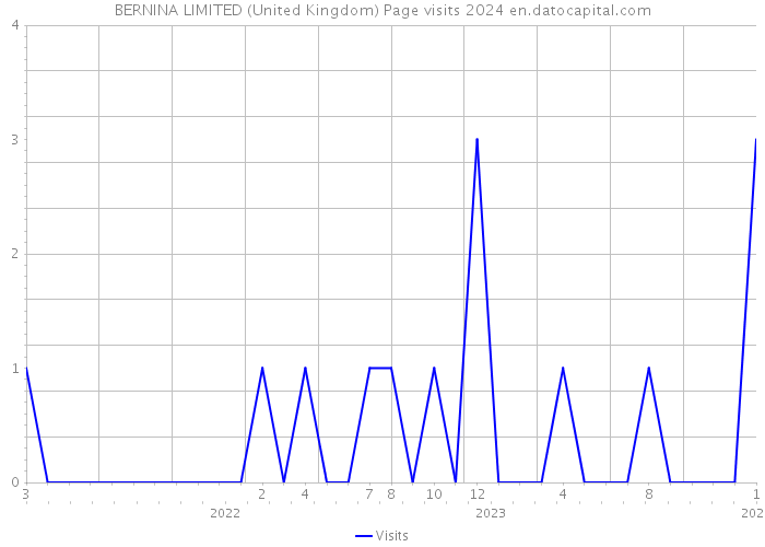 BERNINA LIMITED (United Kingdom) Page visits 2024 