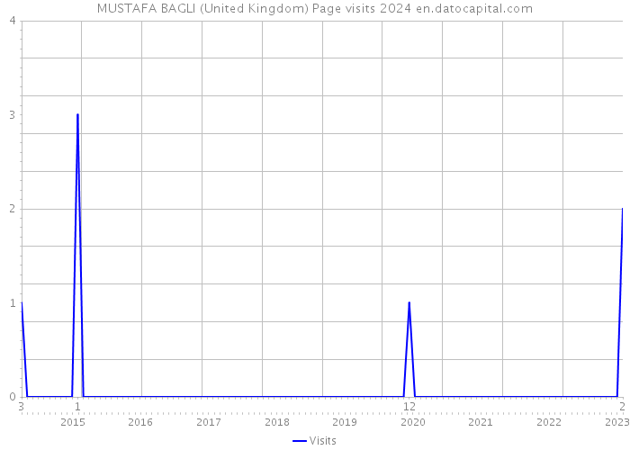 MUSTAFA BAGLI (United Kingdom) Page visits 2024 