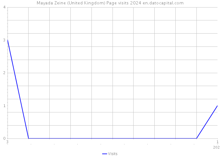 Mayada Zeine (United Kingdom) Page visits 2024 