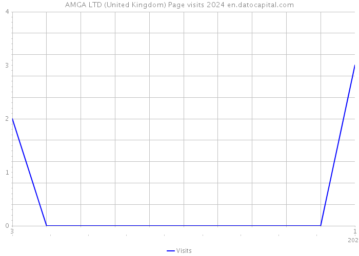 AMGA LTD (United Kingdom) Page visits 2024 