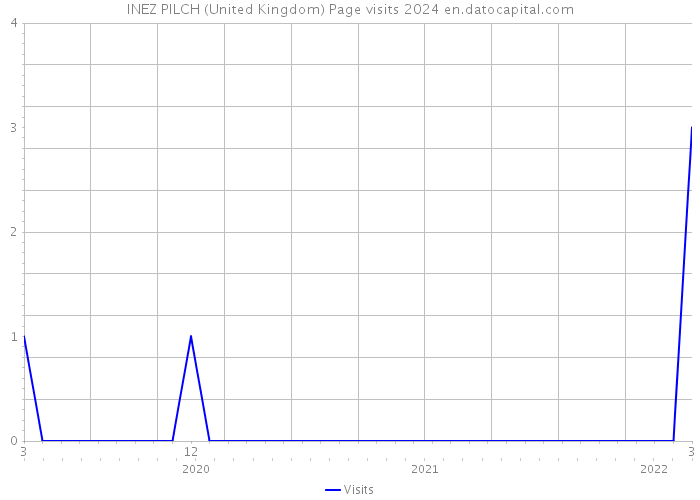 INEZ PILCH (United Kingdom) Page visits 2024 