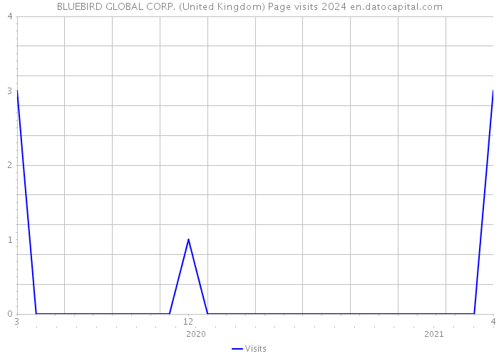 BLUEBIRD GLOBAL CORP. (United Kingdom) Page visits 2024 