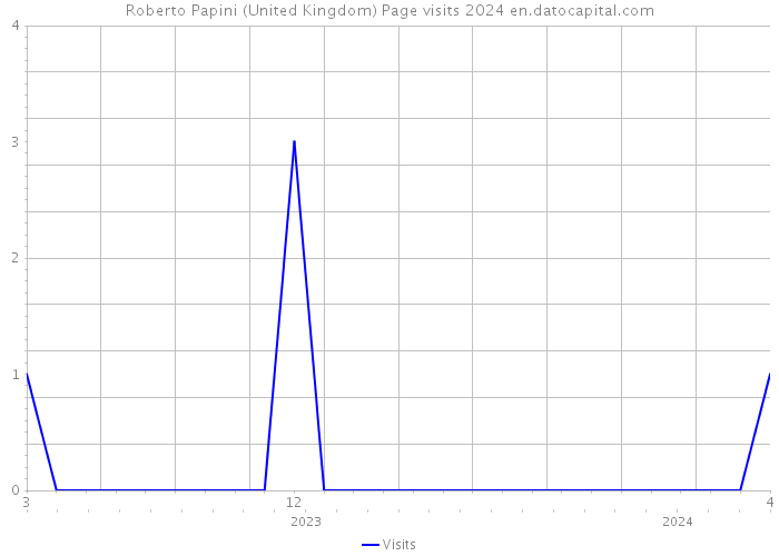 Roberto Papini (United Kingdom) Page visits 2024 