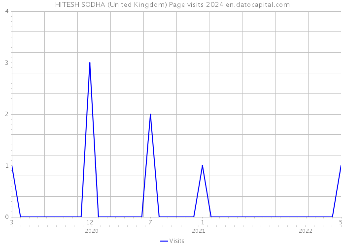 HITESH SODHA (United Kingdom) Page visits 2024 