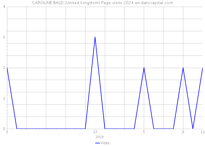 CAROLINE BALD (United Kingdom) Page visits 2024 