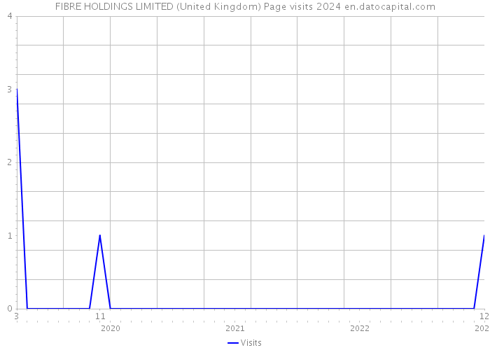 FIBRE HOLDINGS LIMITED (United Kingdom) Page visits 2024 