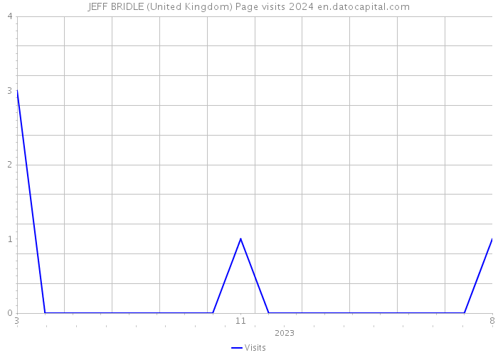 JEFF BRIDLE (United Kingdom) Page visits 2024 
