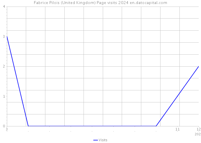 Fabrice Pilois (United Kingdom) Page visits 2024 