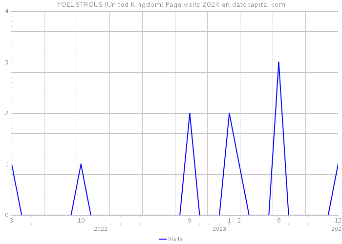 YOEL STROUS (United Kingdom) Page visits 2024 