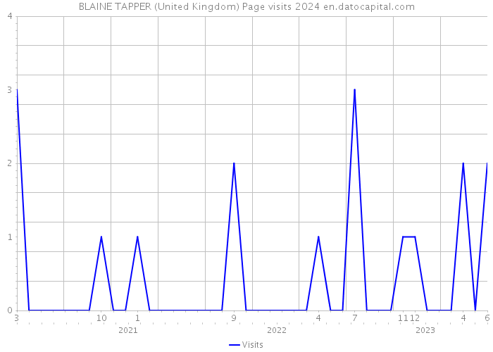 BLAINE TAPPER (United Kingdom) Page visits 2024 